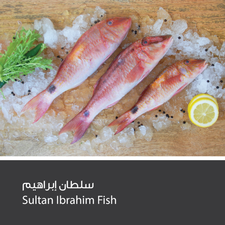 Sultan Ibrahim Fish